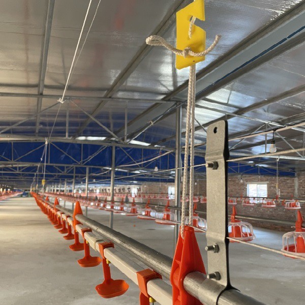 Automatic Drinking Lines