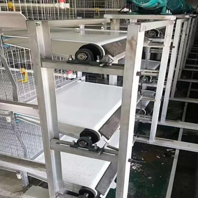 Automatic Manure Removal Layer Cages